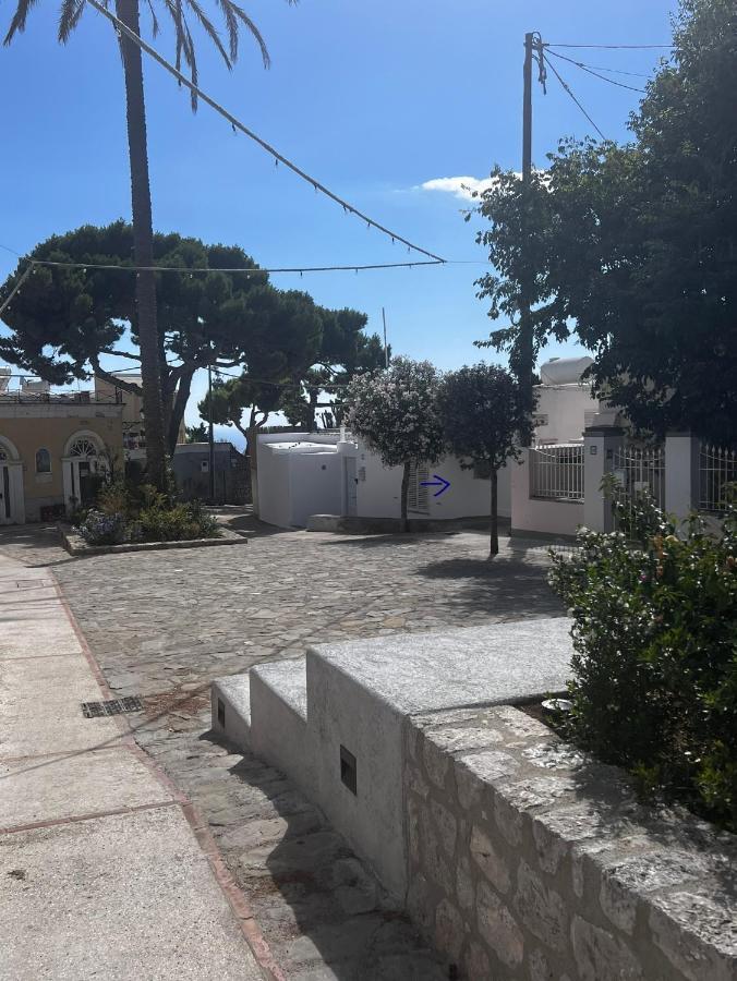 Casa Dora Bed and Breakfast Ανακάπρι Εξωτερικό φωτογραφία