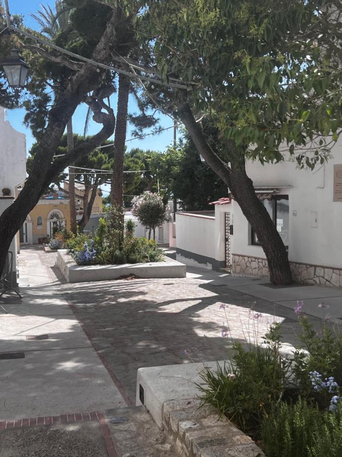 Casa Dora Bed and Breakfast Ανακάπρι Εξωτερικό φωτογραφία